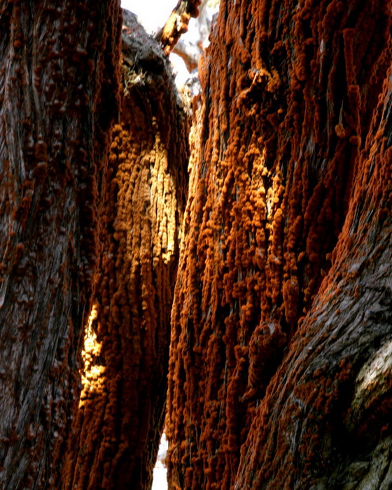 BEACH05192013_2006.JPG