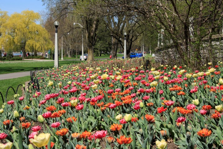 _MG_0093 (Small).JPG