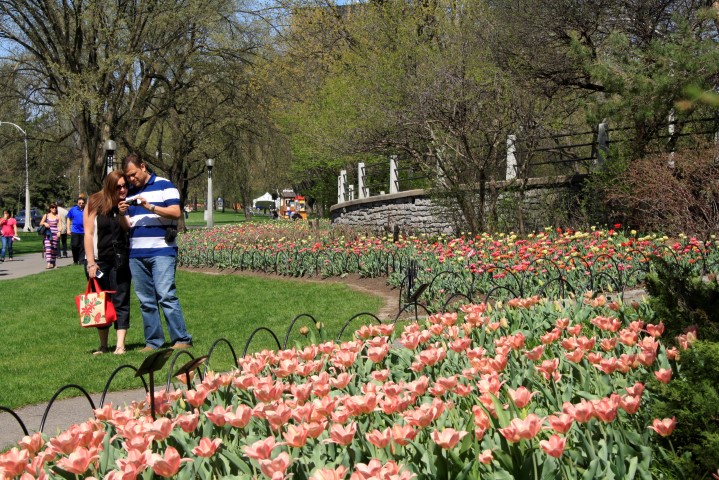 _MG_0092 (Small).JPG