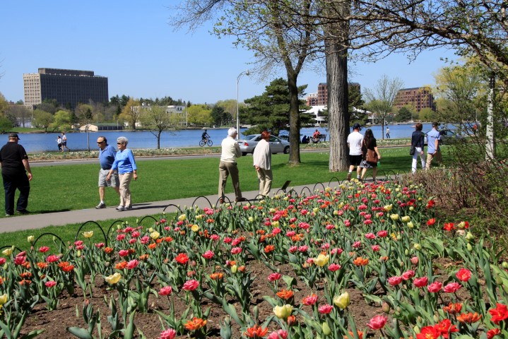 _MG_0095 (Small).JPG