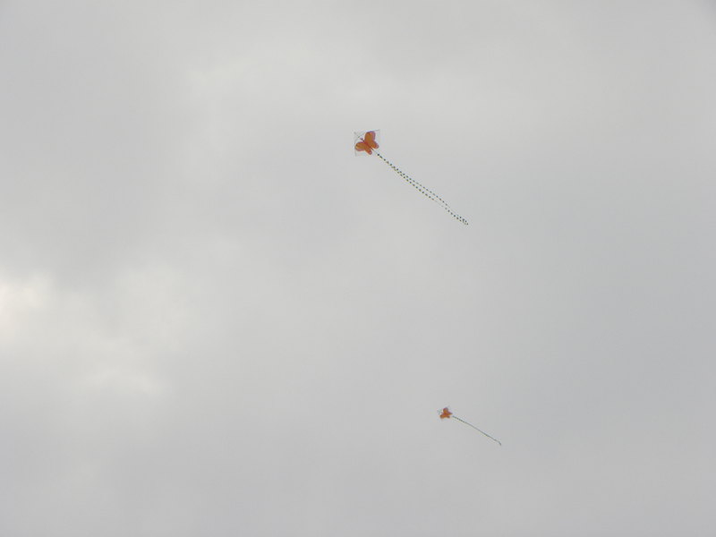 148.jpg
