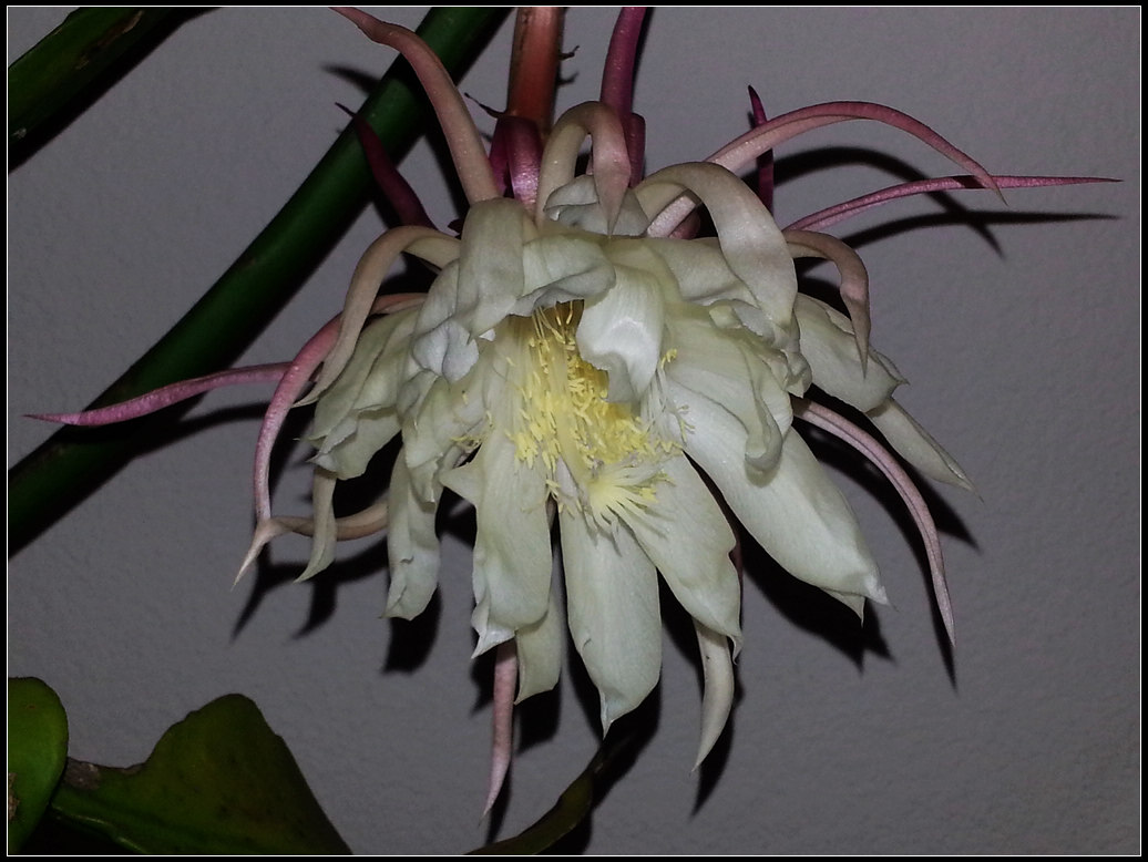 20130113_234429.jpg