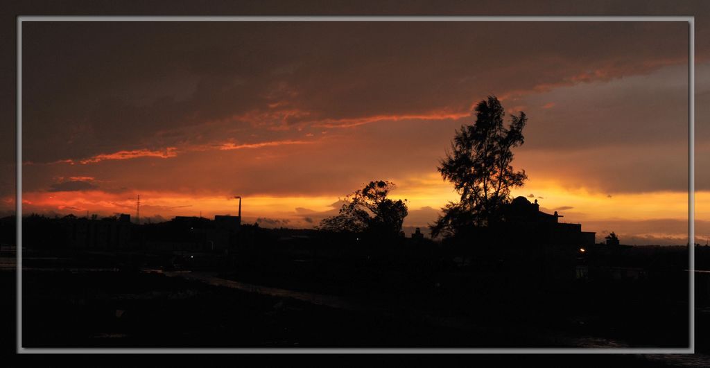 DSC_2618.jpg