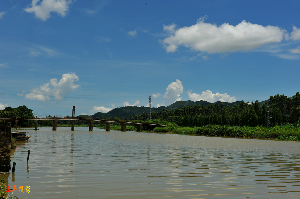 DSC_8284.jpg