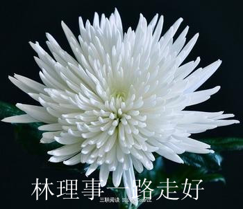 u=1396239566,4065412101&amp;fm=11&amp;gp=0_.jpg