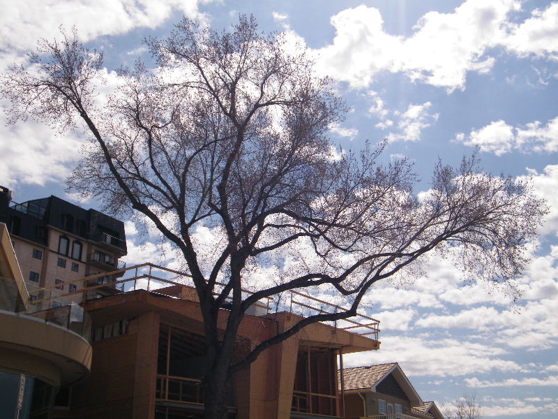 DSCF3991.JPG