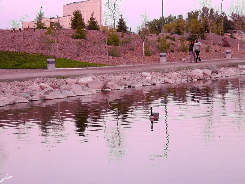 H1580438=.jpg