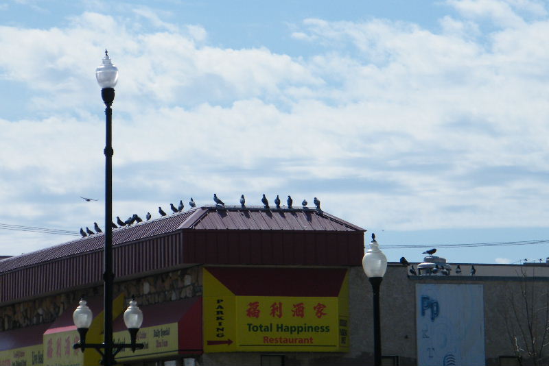 DSCF3972.JPG