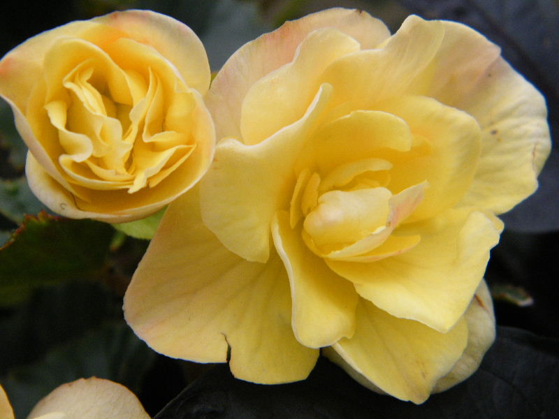 DSCF5624.JPG
