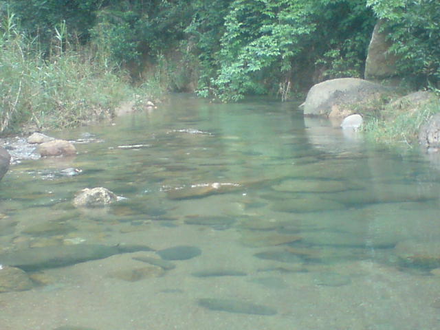 DSC00111.JPG