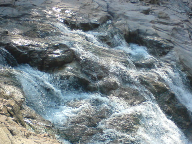 DSC00073.JPG