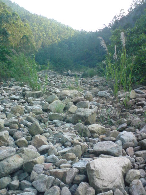 DSC00078.JPG