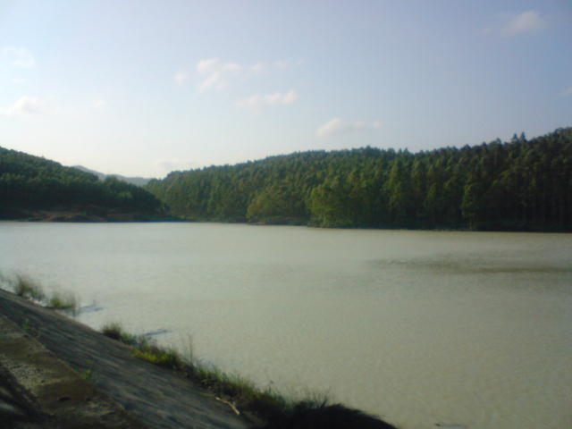 DSC00100.JPG
