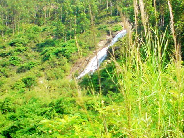 DSC00061.JPG