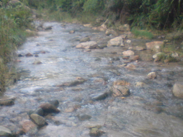 DSC00112.JPG