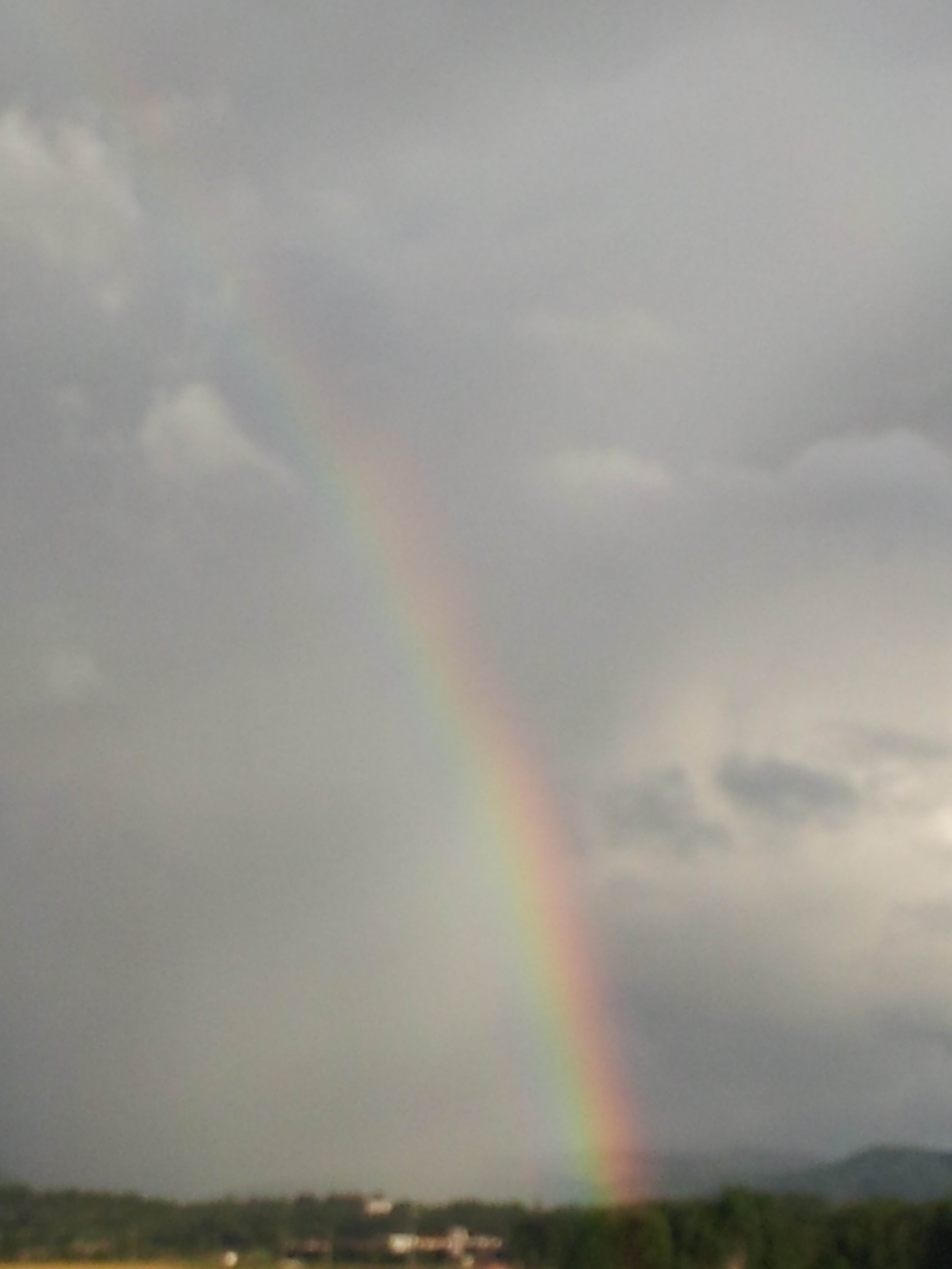 ת 20120701_183553.jpg