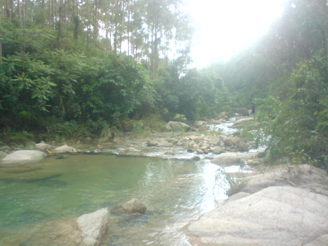 DSC00105.JPG
