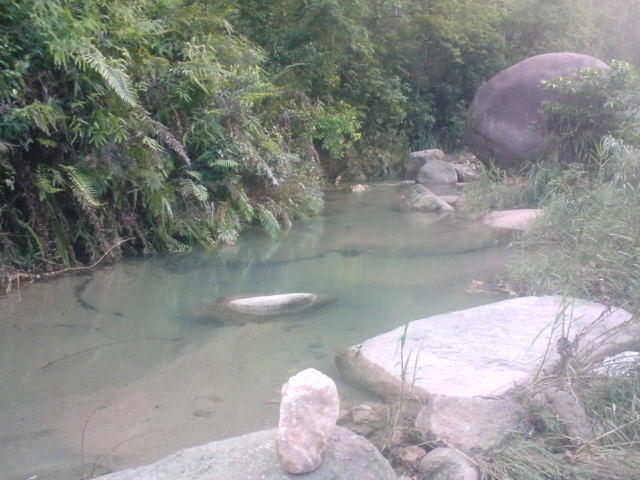 DSC00114.JPG