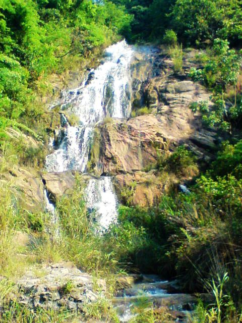 DSC00066.JPG