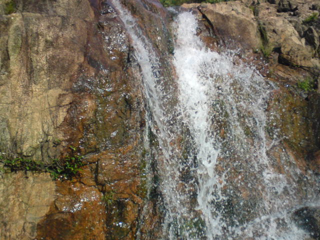 DSC00075.JPG