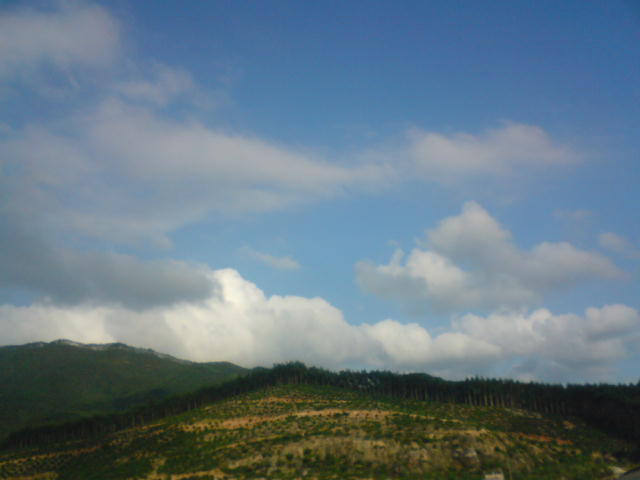 DSC00102.JPG