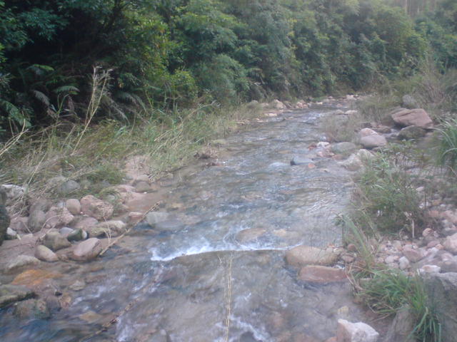 DSC00115.JPG