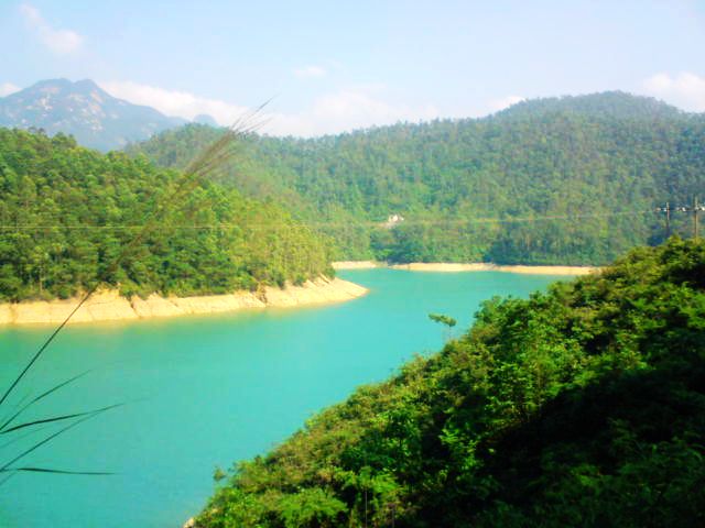 DSC00063.JPG