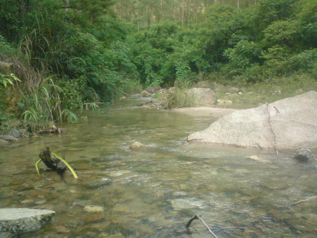 DSC00108.JPG