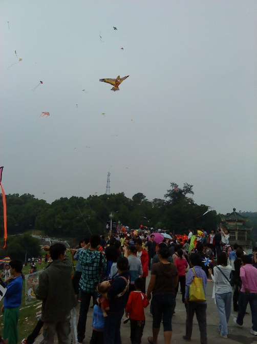 psbCAL7JT55.jpg