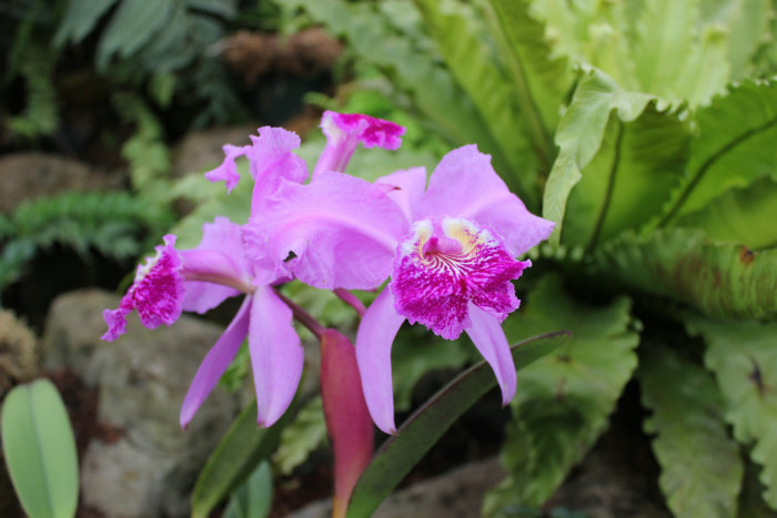 2012_03200542_.JPG