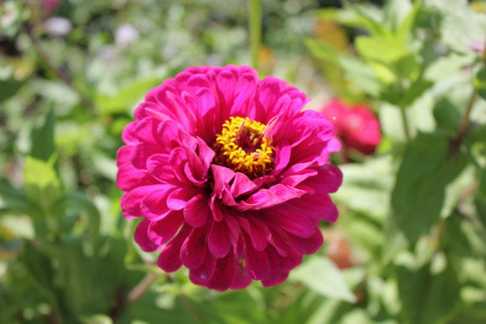 2012_09120074_.JPG