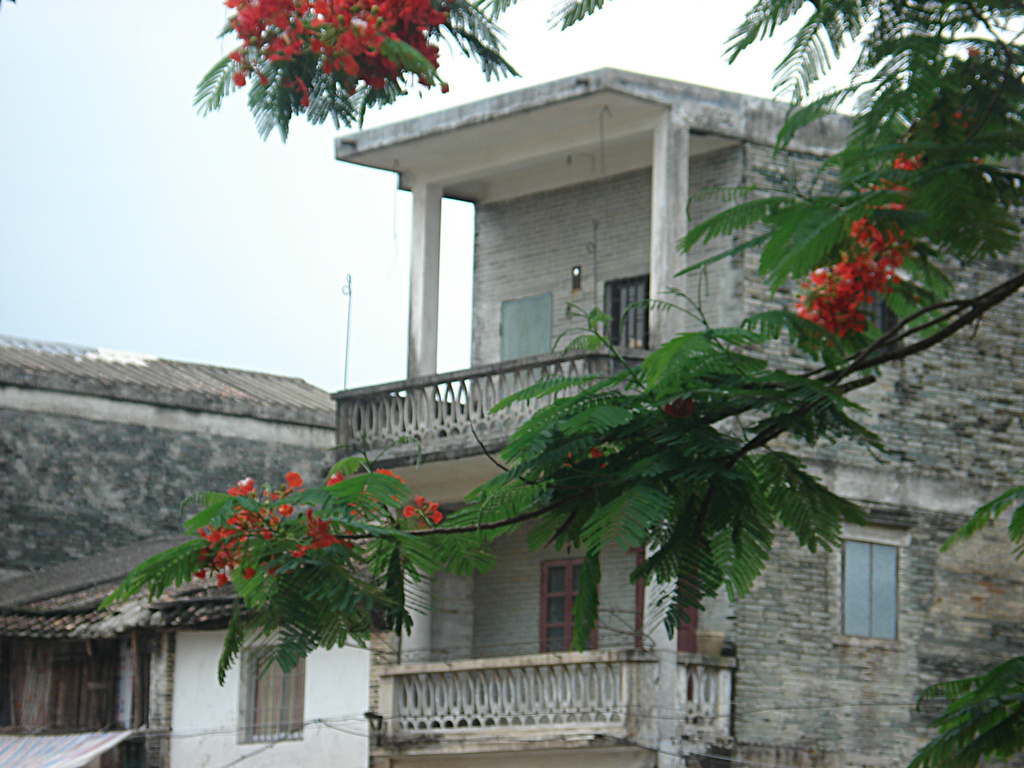 DSC00071.JPG
