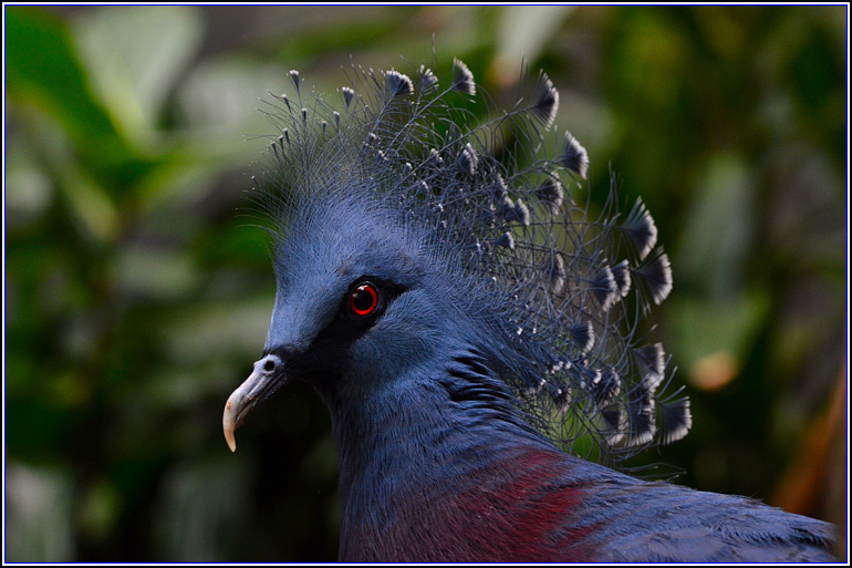 DSC_3012.jpg