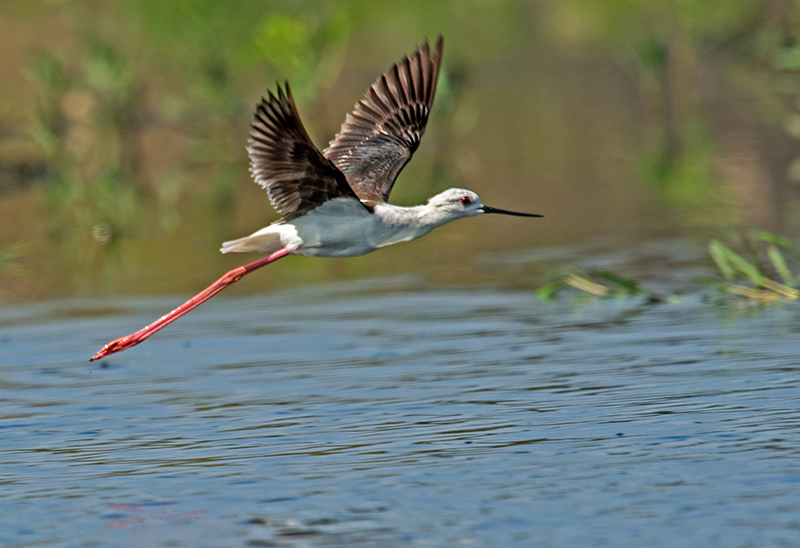 DSC_6280.jpg