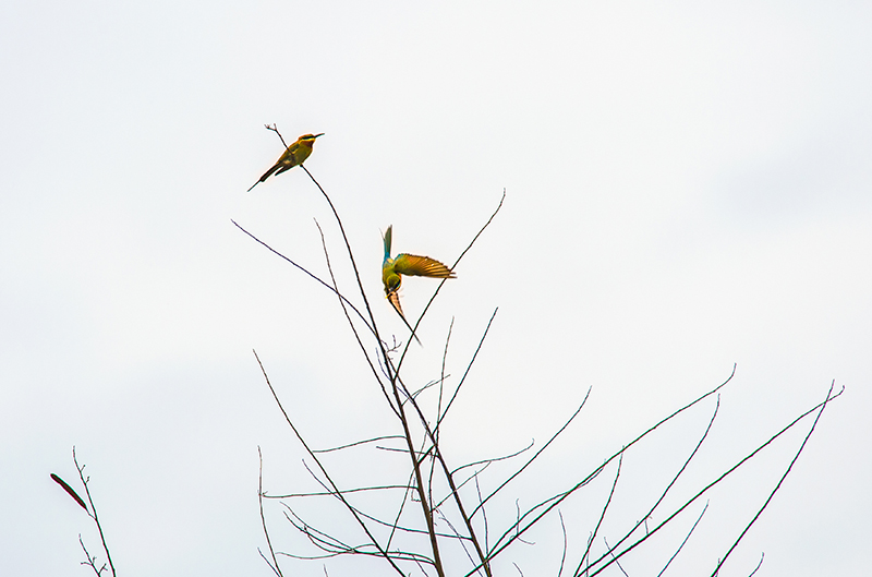 DSC_0470.jpg