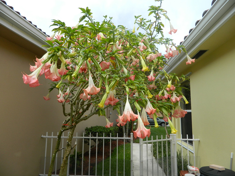 DSCN1712_.jpg