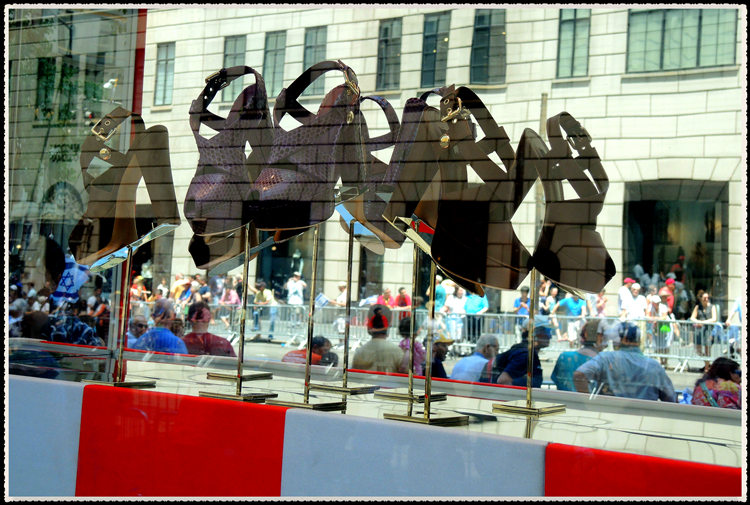 DSCN7066.jpg