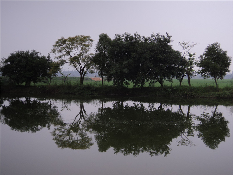 DSC08627.jpg
