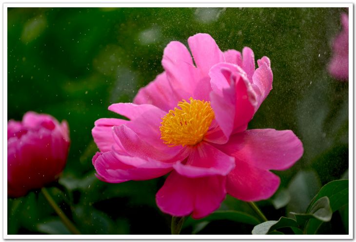 nEO_IMG_DSC_5989.jpg