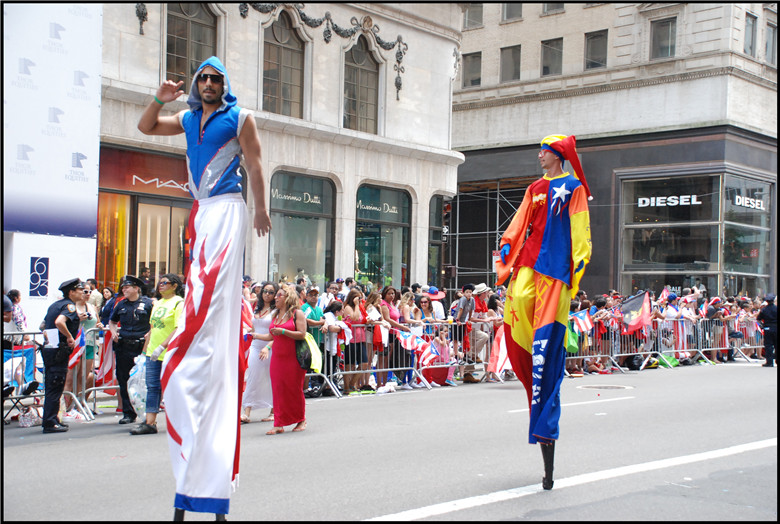DSC_0203.jpg