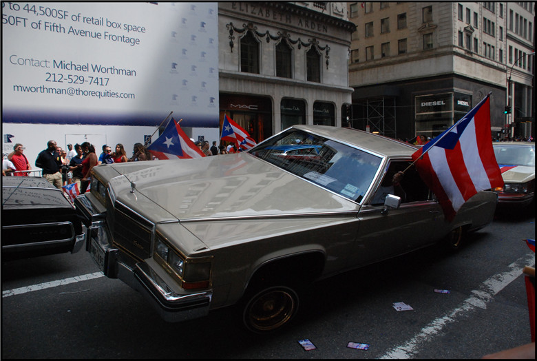 DSC_0400.jpg