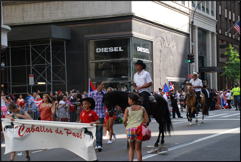 DSC_0588.jpg
