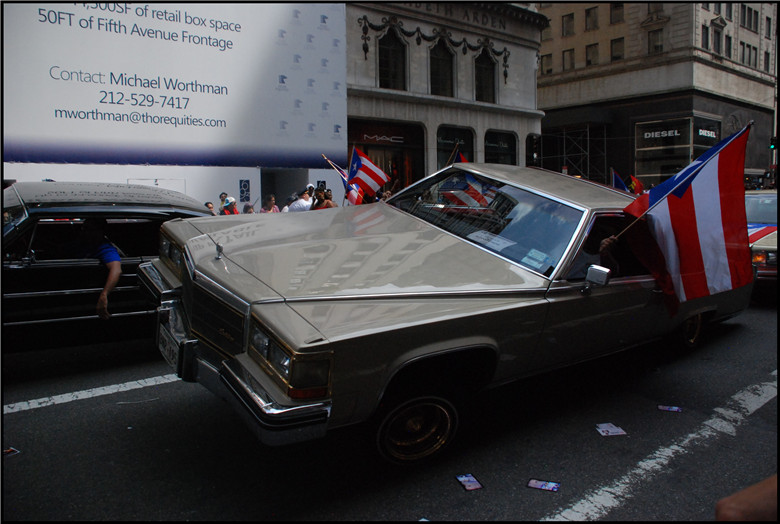 DSC_0398.jpg
