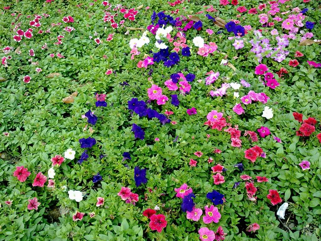 20110224341.jpg