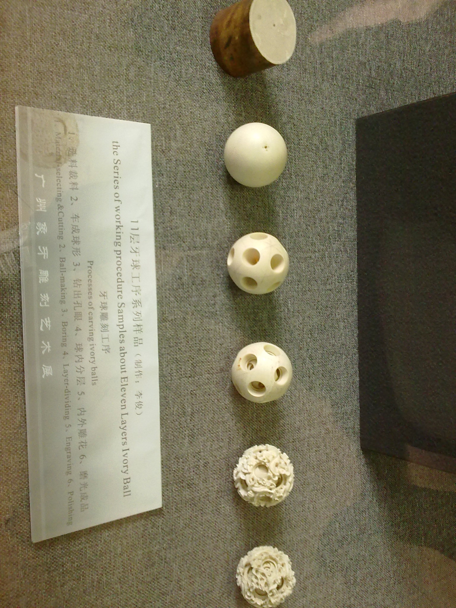 20110224241.jpg