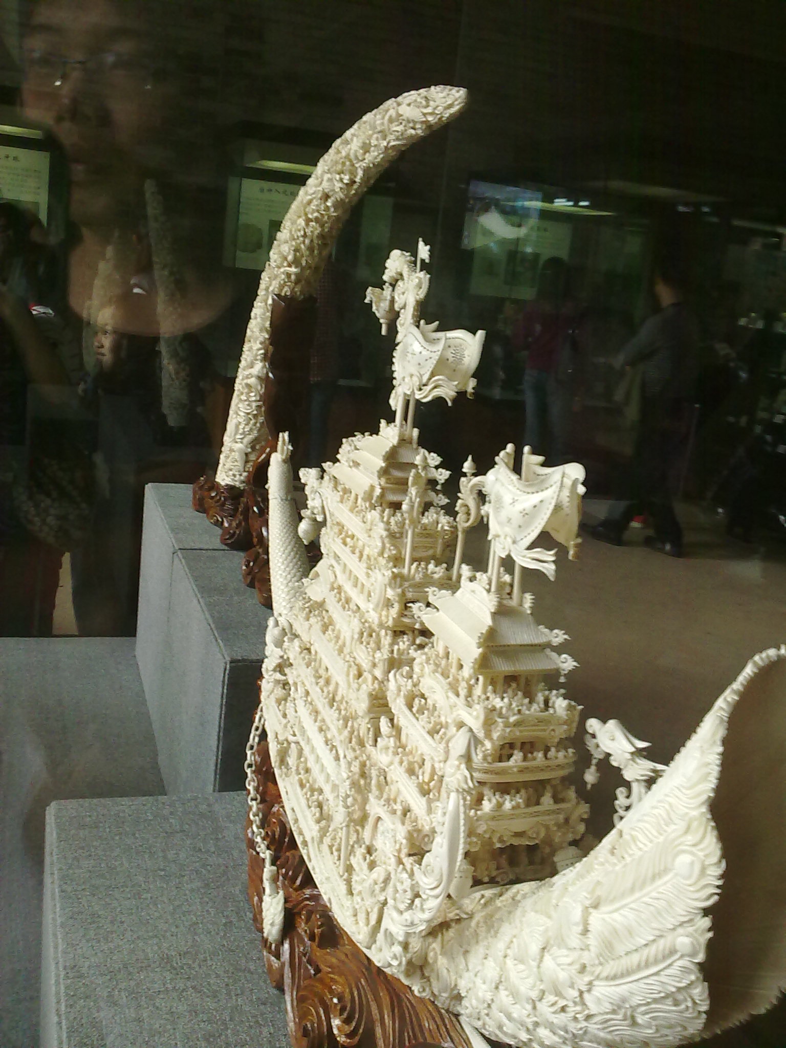 20110224245.jpg