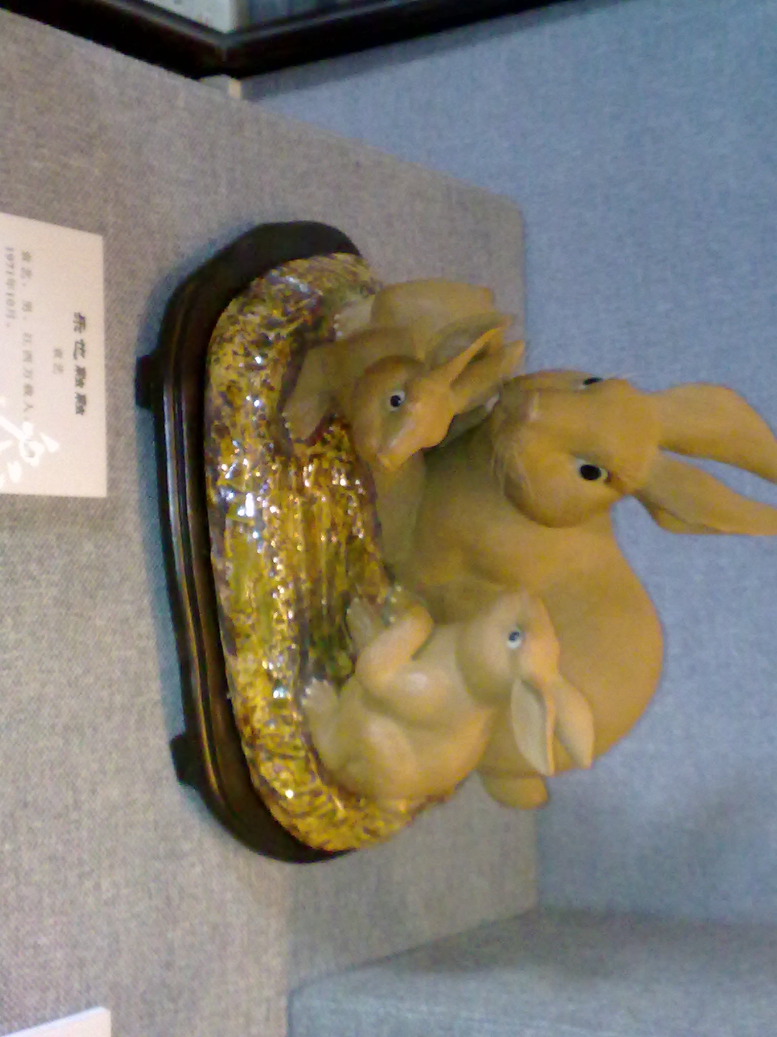 20110224220.jpg