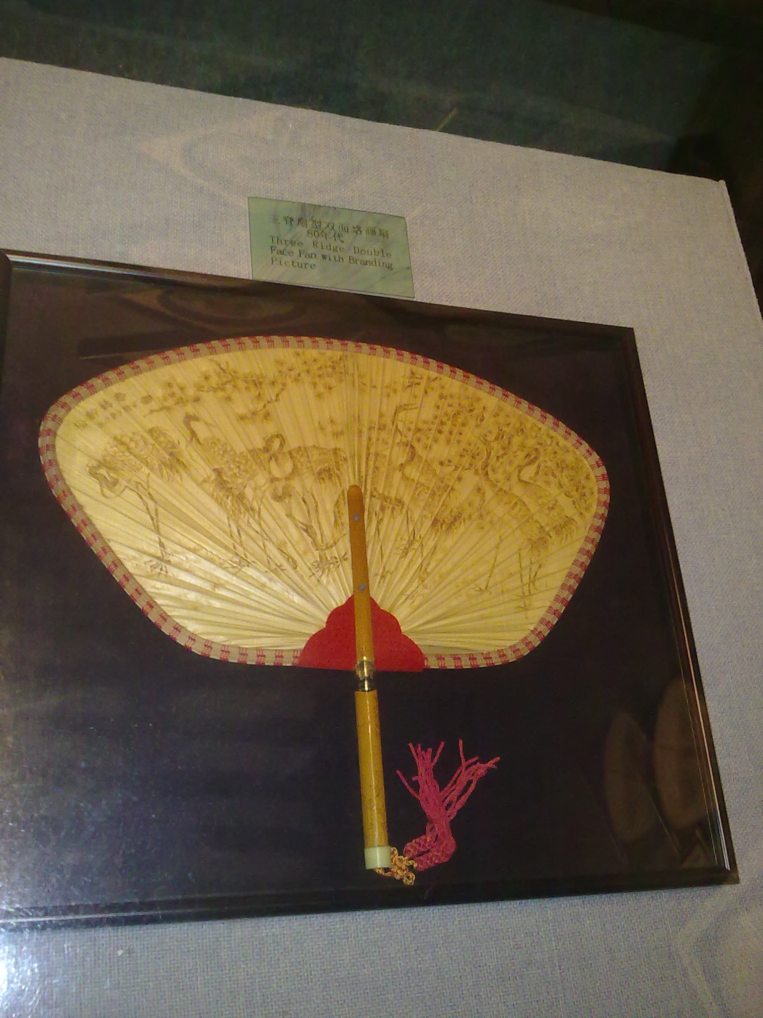 20110224296.jpg
