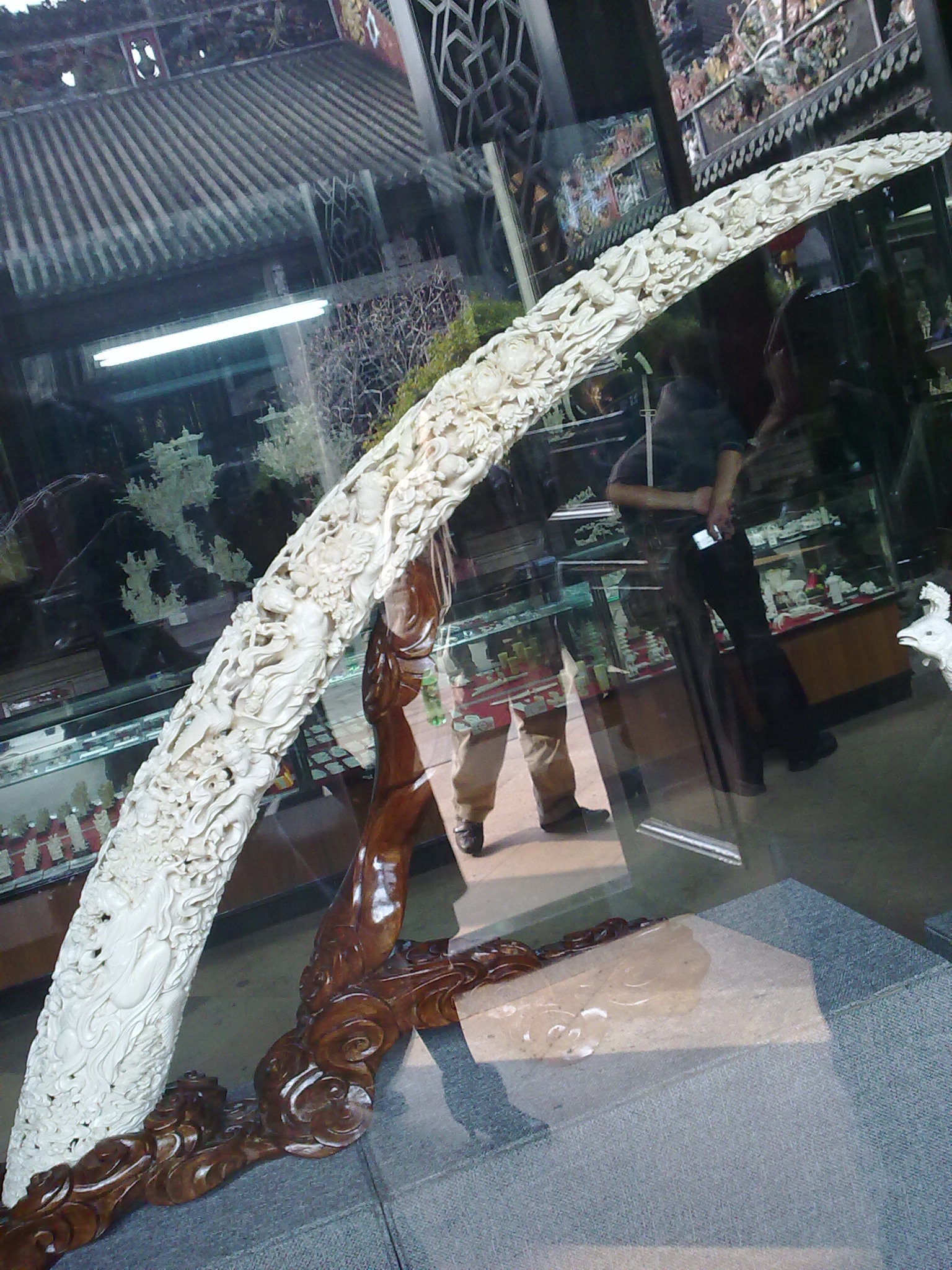 20110224237.jpg