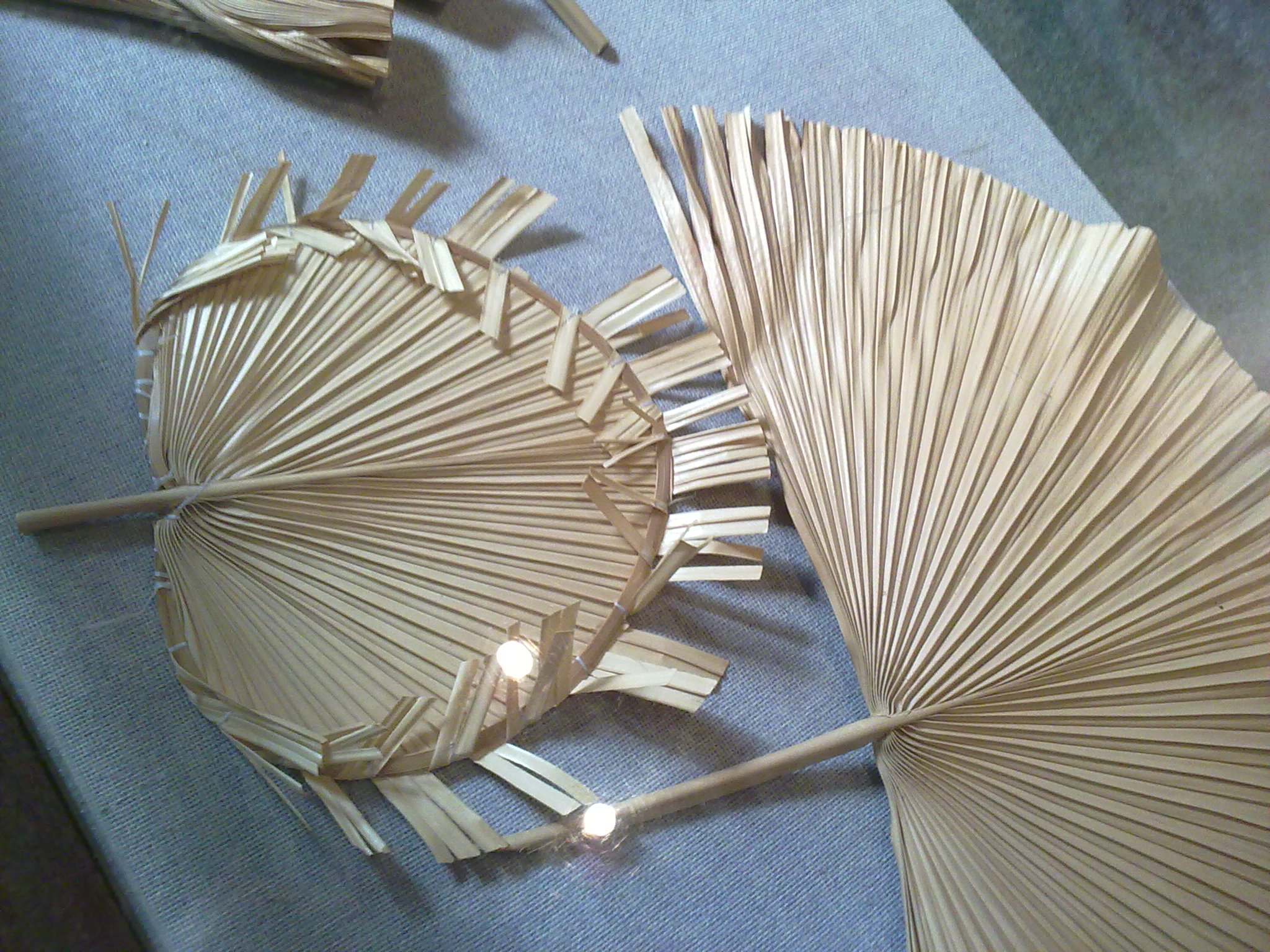 20110224284.jpg